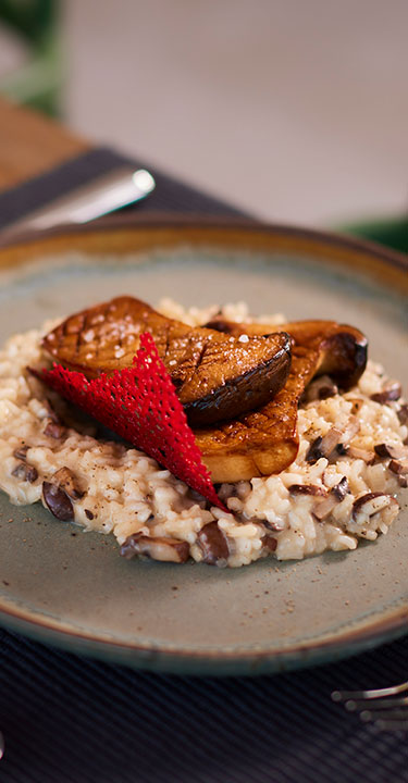 A dish with mushroom risotto